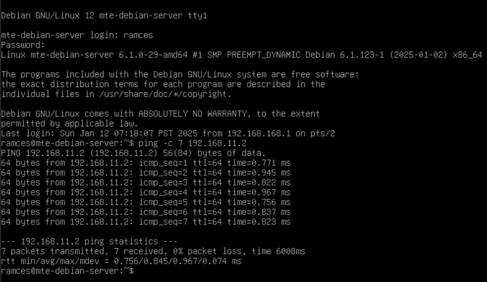 Un terminal affichant les performances ping de Tinc sur Debian.