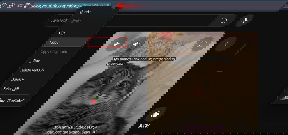 Copie de lien vers YouTube court sur PC.