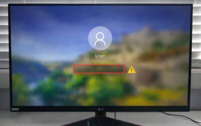 How To Fix Windows Login Screen When Password Box Won