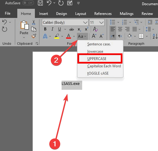 Convertisseur de cas de titre LSASS dans la vue Word